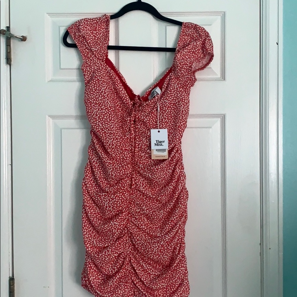 Cayden tiger mist dress - Picture 3 of 5